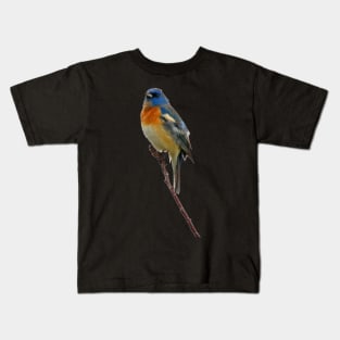 Lazuli Bunting Kids T-Shirt